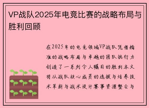 VP战队2025年电竞比赛的战略布局与胜利回顾